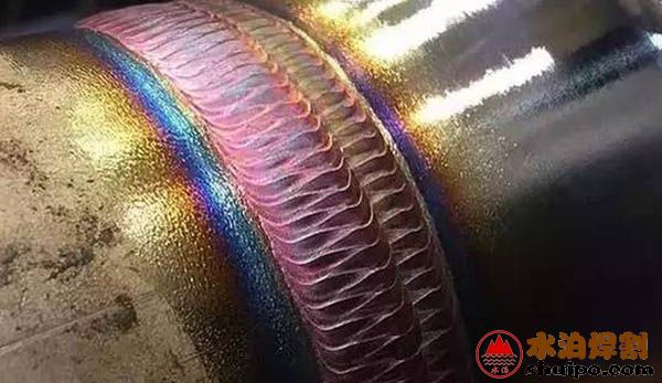 表面的饱满的鱼鳞纹