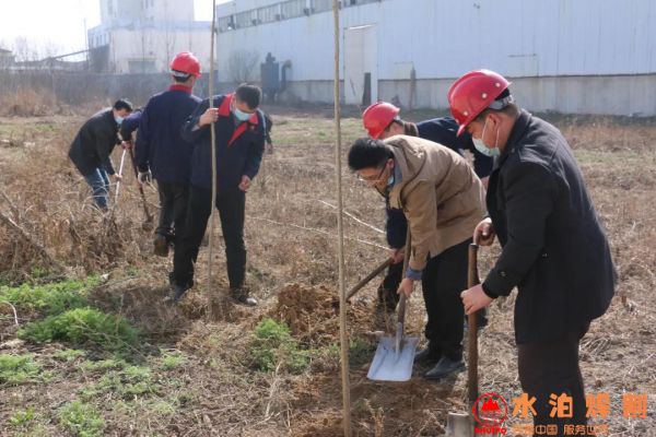 微信图片_20200313150318